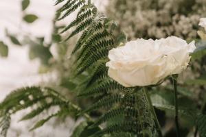 Свадебная фотография