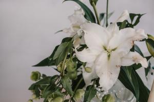 Свадебная фотография