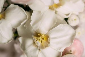 Свадебная фотография